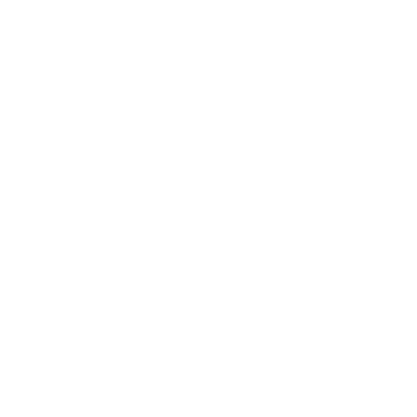 C-LO_0000s_0002_VIVA-AIR